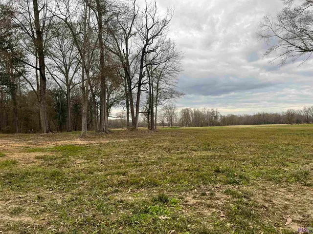$86,900 | 0 Lemon Road, Slaughter, LA 70777