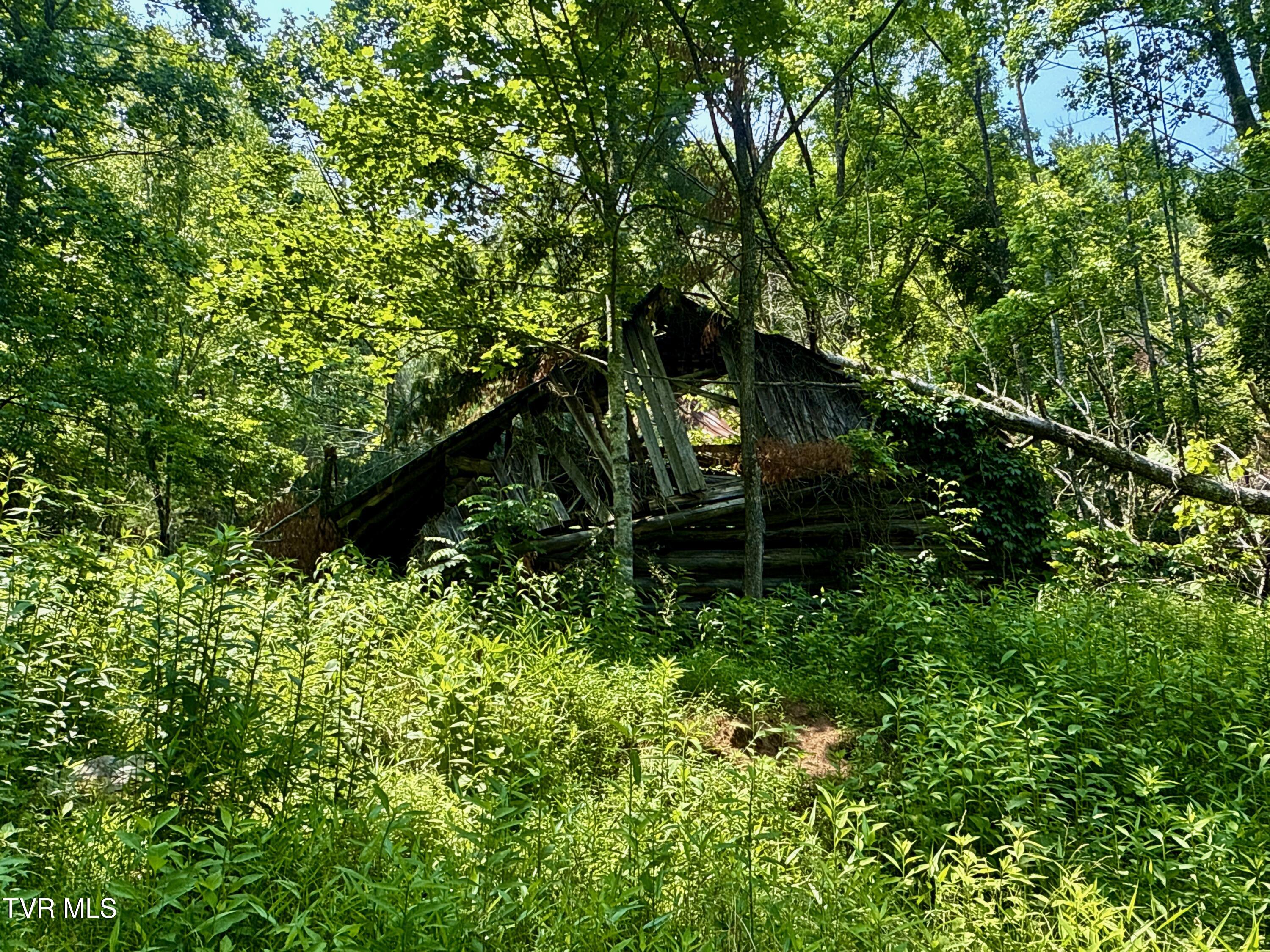 99-ac Copperhead Hollow Road Butler, TN 37640 - Photo 11 of 22 _Pic11jpg