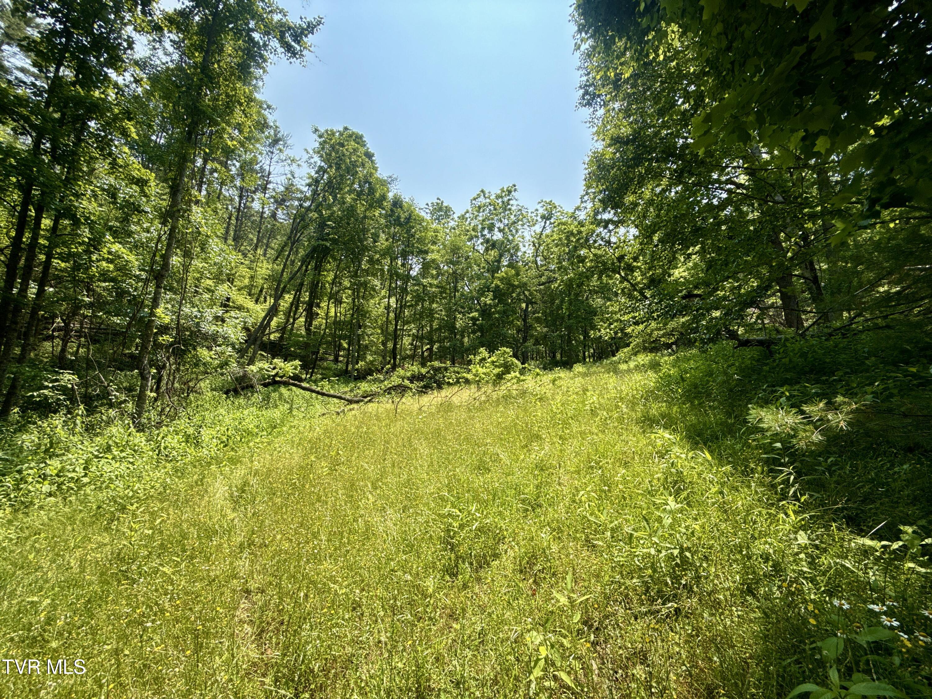 99-ac Copperhead Hollow Road Butler, TN 37640 - Photo 2 of 22 _Pic2jpg