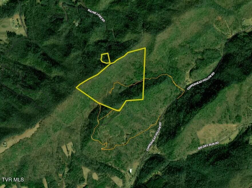 99-ac Copperhead Hollow Road Butler, TN 37640 - Photo 21 of 22 _Pic21 (46)