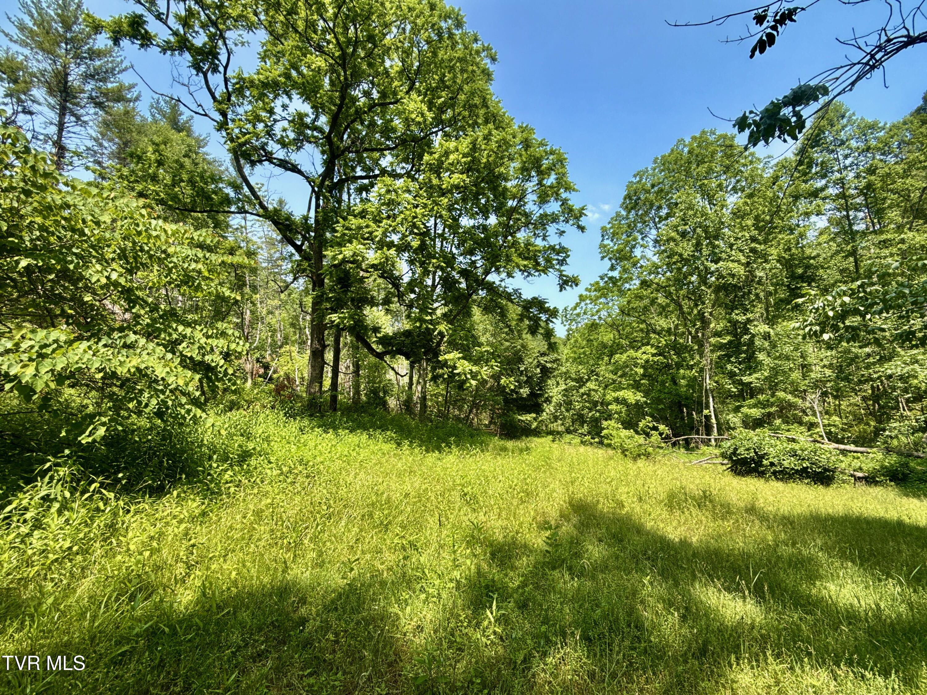 99-ac Copperhead Hollow Road Butler, TN 37640 - Photo 3 of 22 _Pic3jpg