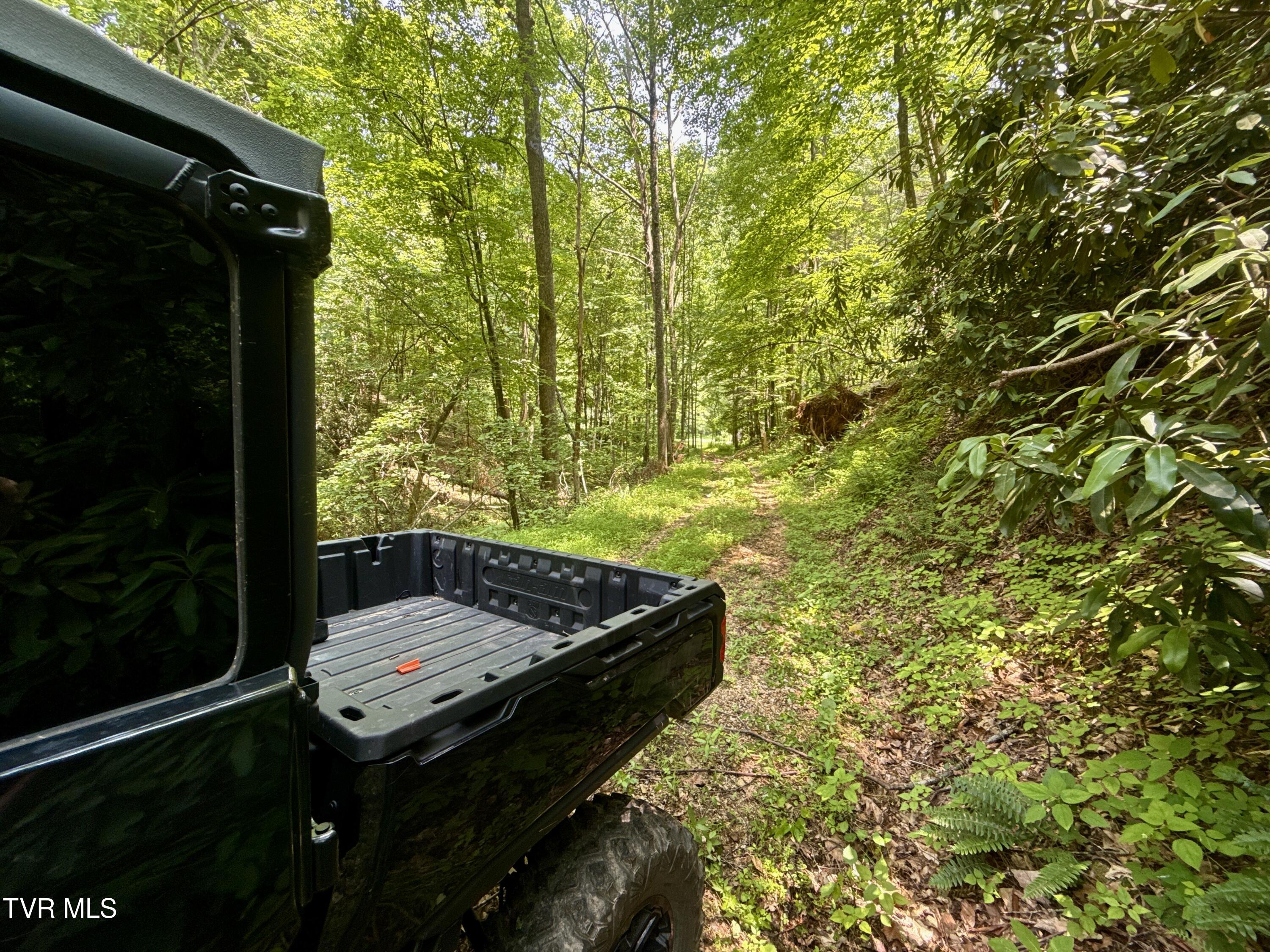 99-ac Copperhead Hollow Road Butler, TN 37640 - Photo 8 of 22 _Pic8jpg