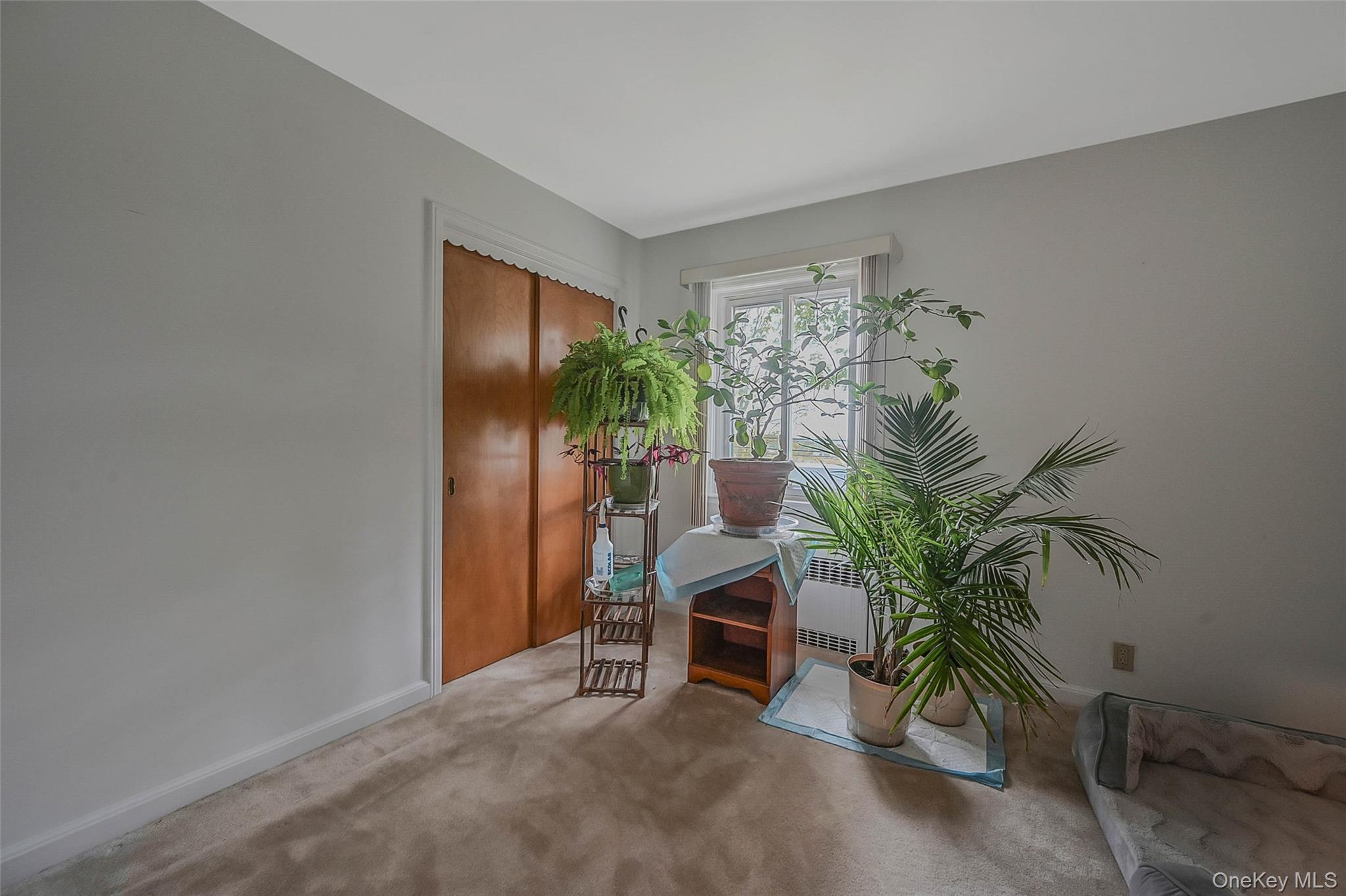 746 Sound View Road Mill Neck, NY 11765 - Photo 22 of 37 a view of a room with potted plants and couches