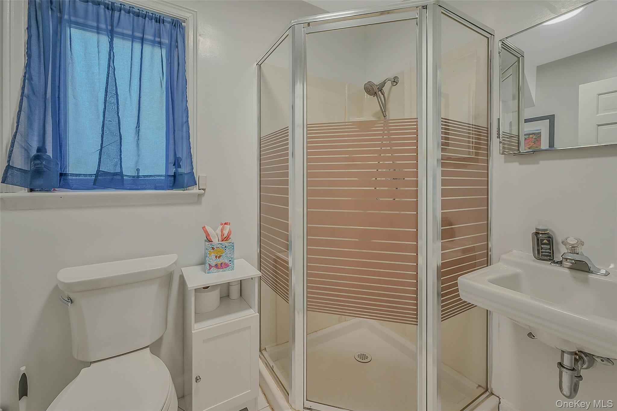 746 Sound View Road Mill Neck, NY 11765 - Photo 26 of 37 a bathroom with a sink toilet and shower