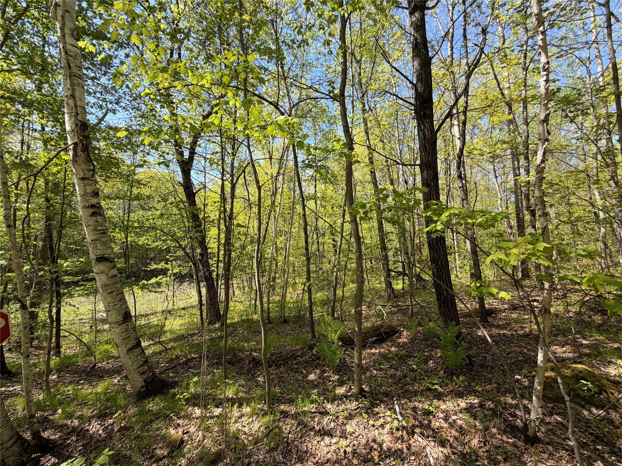 Lot 3 Peterson Road Holyoke, MN 55749 - Photo 5 of 7