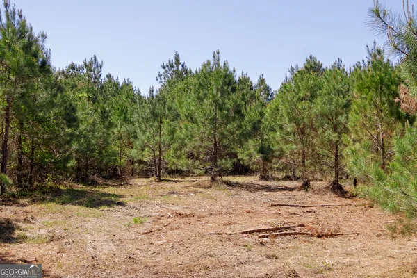 $450,000 | 0 Effingham Highway, Sylvania, GA 30467