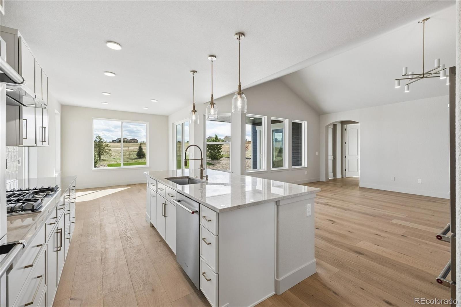 2490 Antelope Ridge Trail Parker, CO 80138 - Photo 12 of 50