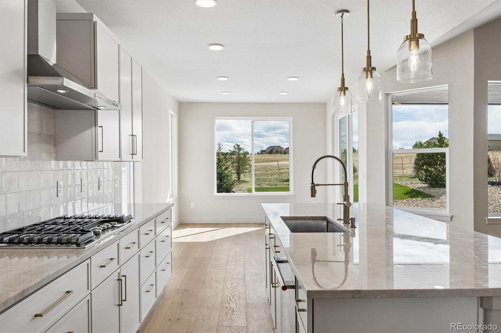 2490 Antelope Ridge Trail Parker, CO 80138 - Photo 21 of 50