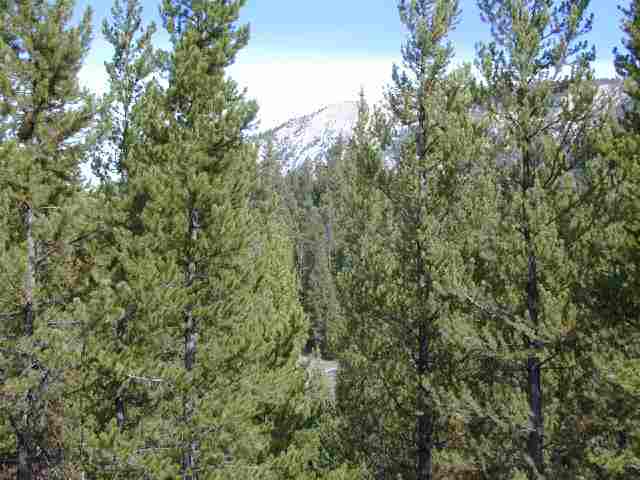 112 Antler Ridge Road Big Sky, MT 59716 - Photo 1 of 1 Gallery Image 1
