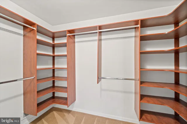 a view of walk in closet with empty racks