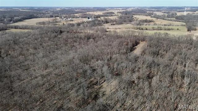 $452,000 | 53-acres Louisville Road, Bowling Green, MO 63334
