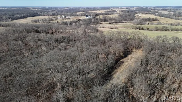 $452,000 | 53-acres Louisville Road, Bowling Green, MO 63334