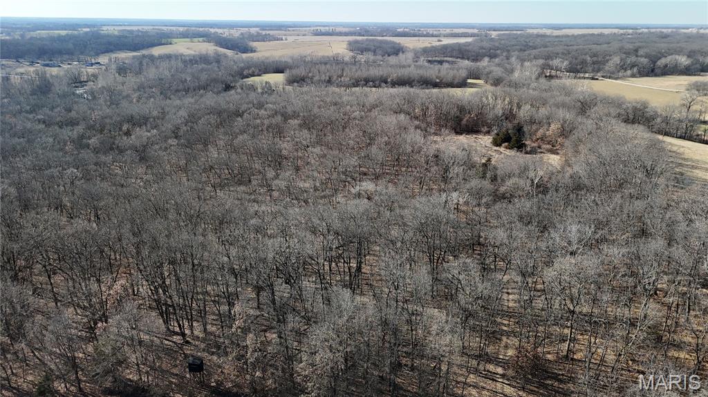 53-acres Louisville Road Bowling Green, MO 63334 - Photo 13 of 24