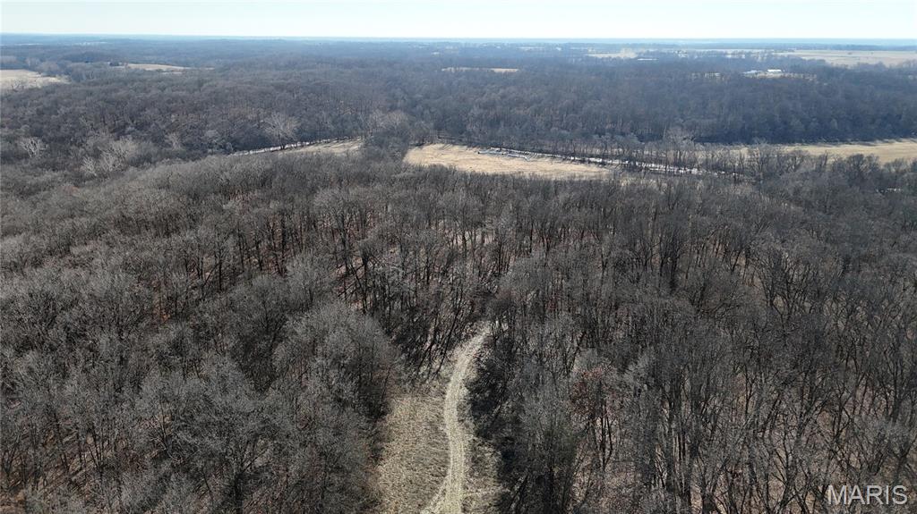 53-acres Louisville Road Bowling Green, MO 63334 - Photo 14 of 24