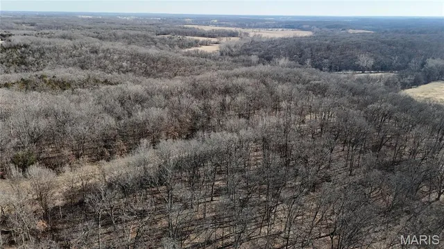 $452,000 | 53-acres Louisville Road, Bowling Green, MO 63334