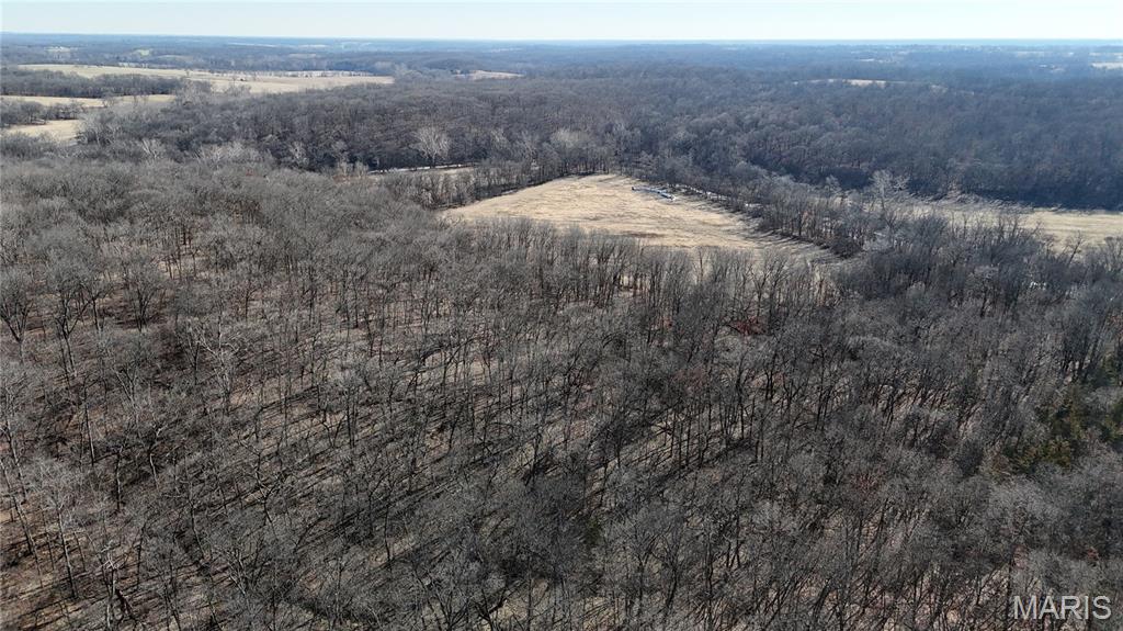 53-acres Louisville Road Bowling Green, MO 63334 - Photo 16 of 24