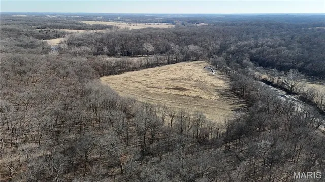 $452,000 | 53-acres Louisville Road, Bowling Green, MO 63334