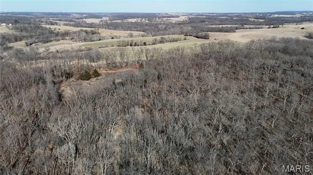 $452,000 | 53-acres Louisville Road, Bowling Green, MO 63334