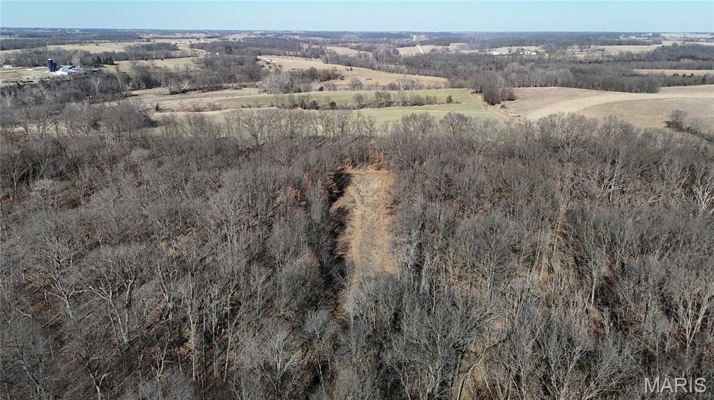 53-acres Louisville Road Bowling Green, MO 63334 - Photo 19 of 24