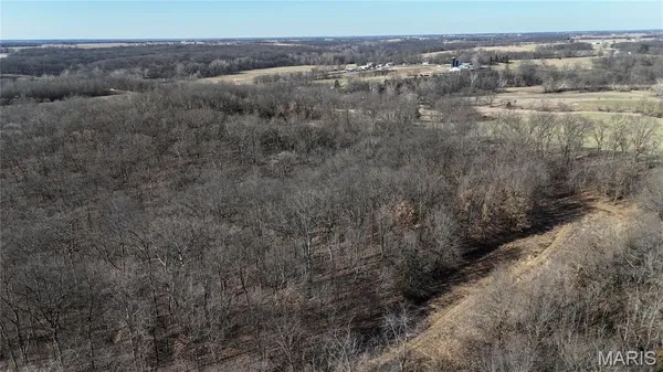$399,000 | 53-acres Louisville Road, Bowling Green, MO 63334