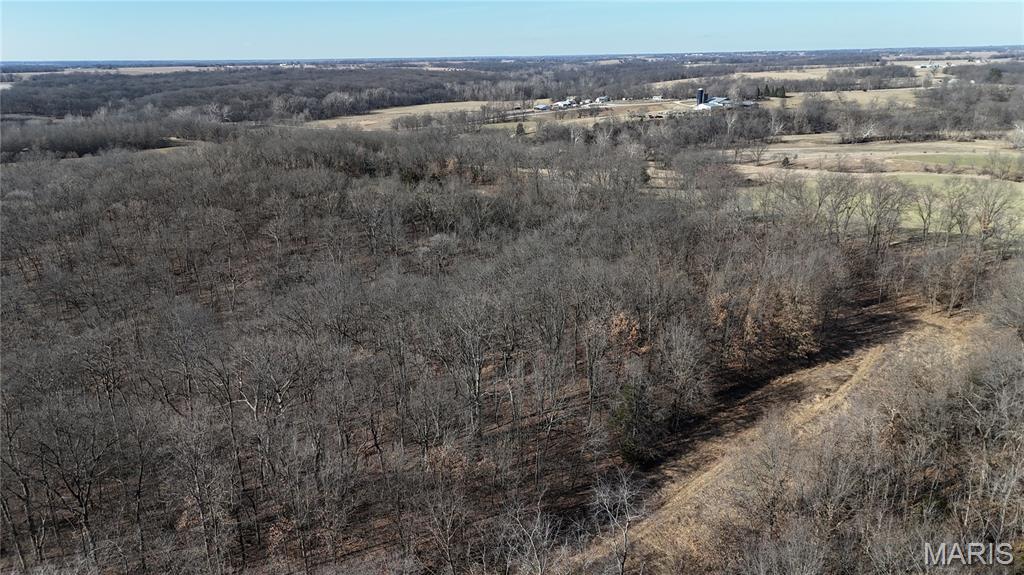 53-acres Louisville Road Bowling Green, MO 63334 - Photo 20 of 24