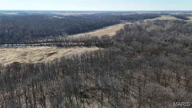$452,000 | 53-acres Louisville Road, Bowling Green, MO 63334