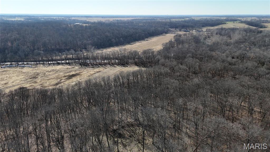 53-acres Louisville Road Bowling Green, MO 63334 - Photo 21 of 24