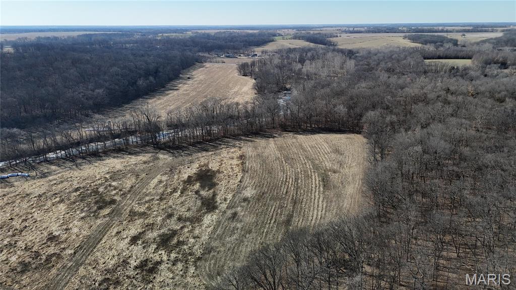 53-acres Louisville Road Bowling Green, MO 63334 - Photo 22 of 24