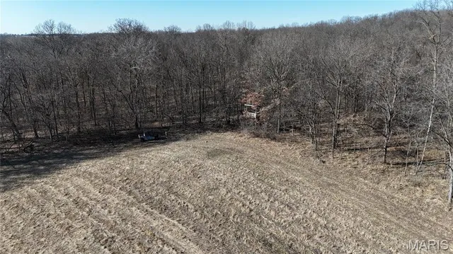 $452,000 | 53-acres Louisville Road, Bowling Green, MO 63334