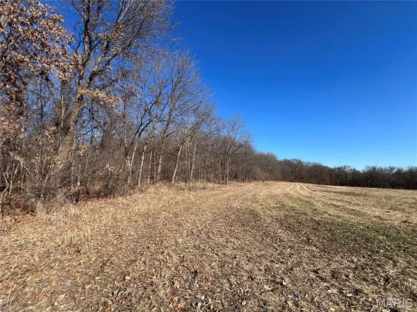 $399,000 | 53-acres Louisville Road, Bowling Green, MO 63334