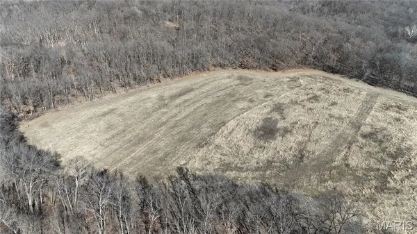$399,000 | 53-acres Louisville Road, Bowling Green, MO 63334