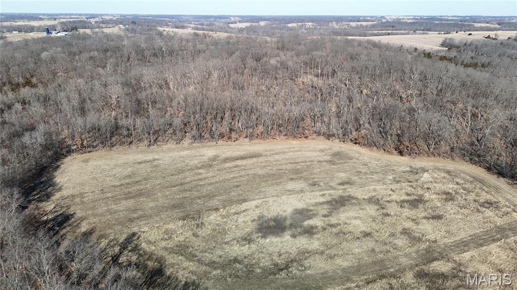 53-acres Louisville Road Bowling Green, MO 63334 - Photo 6 of 24