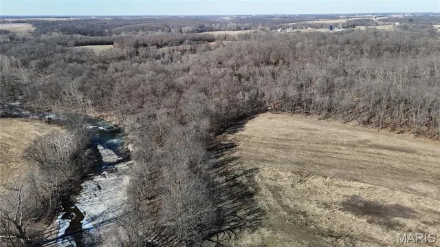 $452,000 | 53-acres Louisville Road, Bowling Green, MO 63334