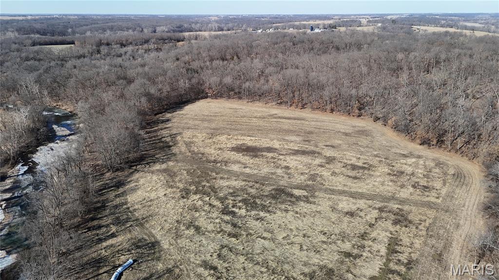 53-acres Louisville Road Bowling Green, MO 63334 - Photo 8 of 24