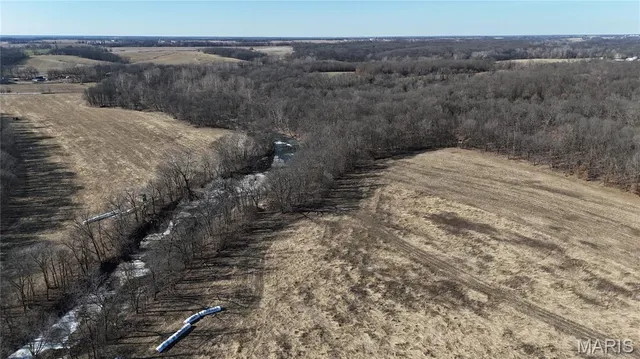 $452,000 | 53-acres Louisville Road, Bowling Green, MO 63334