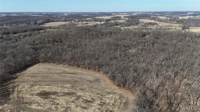 $452,000 | 53-acres Louisville Road, Bowling Green, MO 63334