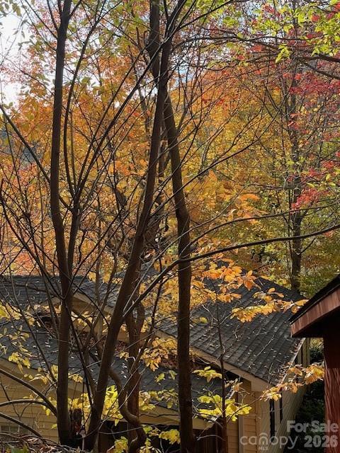 271 Wiggins Road Candler, NC 28715 - Photo 11 of 19 a view of road with large trees