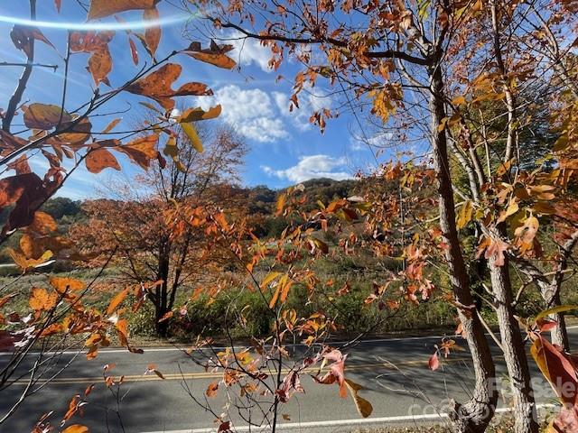 271 Wiggins Road Candler, NC 28715 - Photo 8 of 19 a city view with tall trees