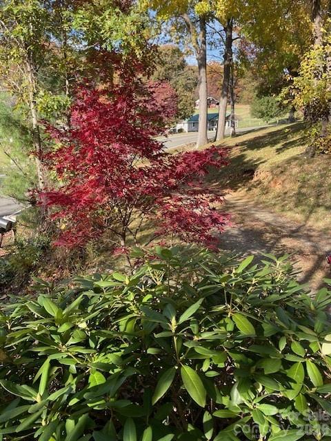 271 Wiggins Road Candler, NC 28715 - Photo 9 of 19 a backyard of a house with lots of green space