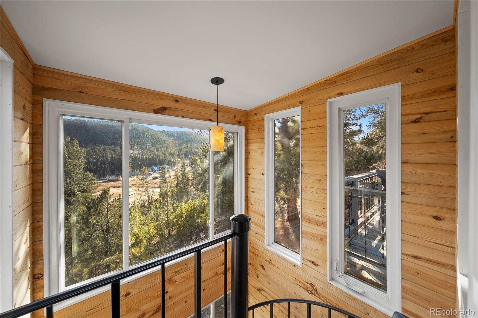 106 Elk Drive Bailey, CO 80421 - Photo 19 of 50