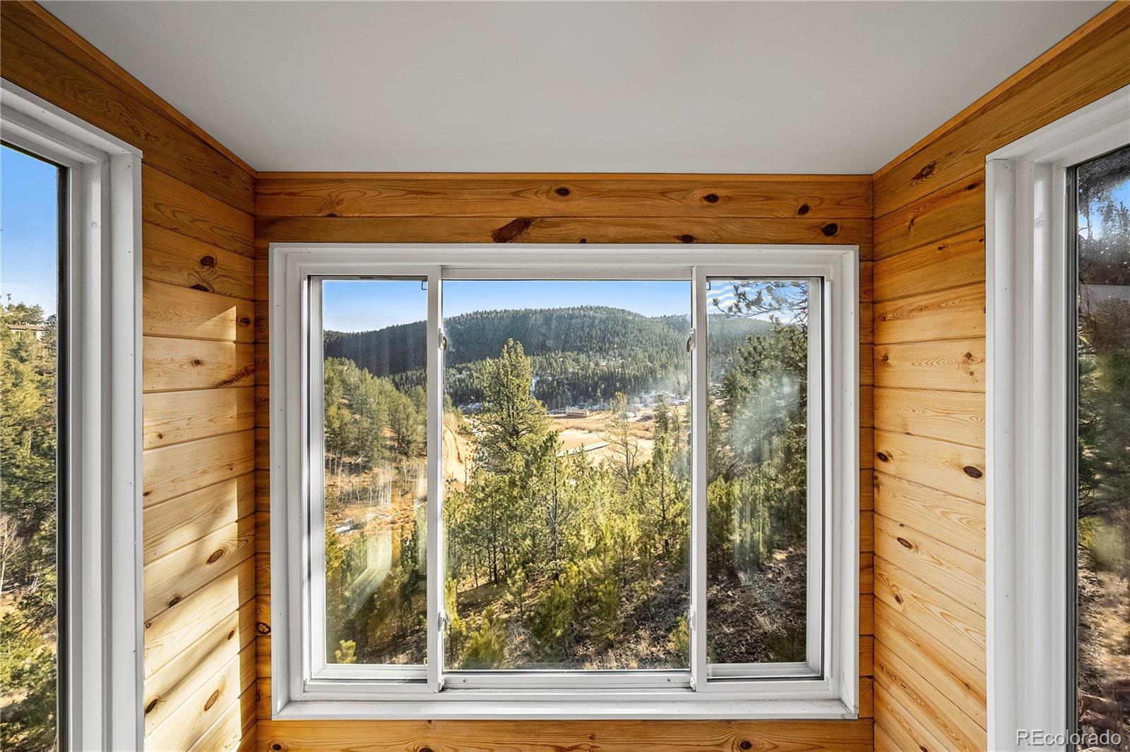 106 Elk Drive Bailey, CO 80421 - Photo 21 of 50