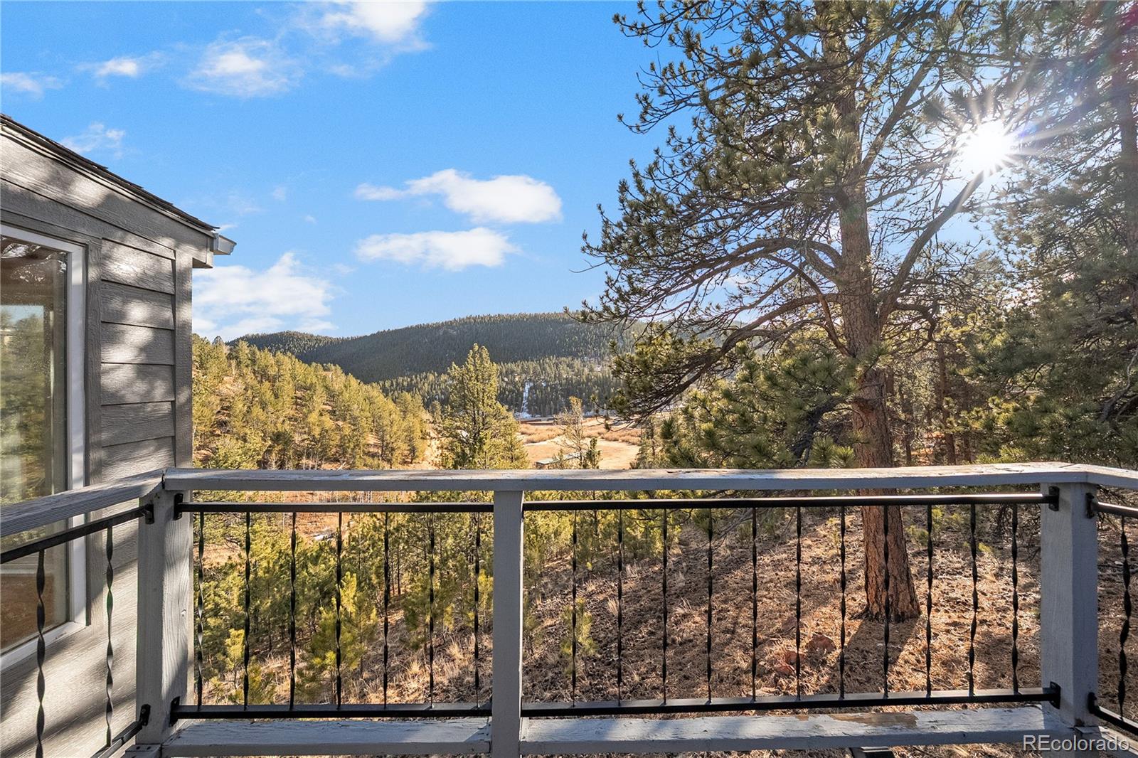 106 Elk Drive Bailey, CO 80421 - Photo 24 of 50