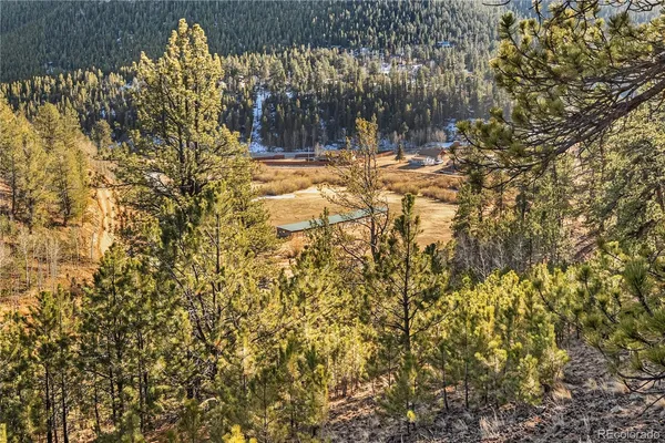 a view of staircase with a lots of frames on wall