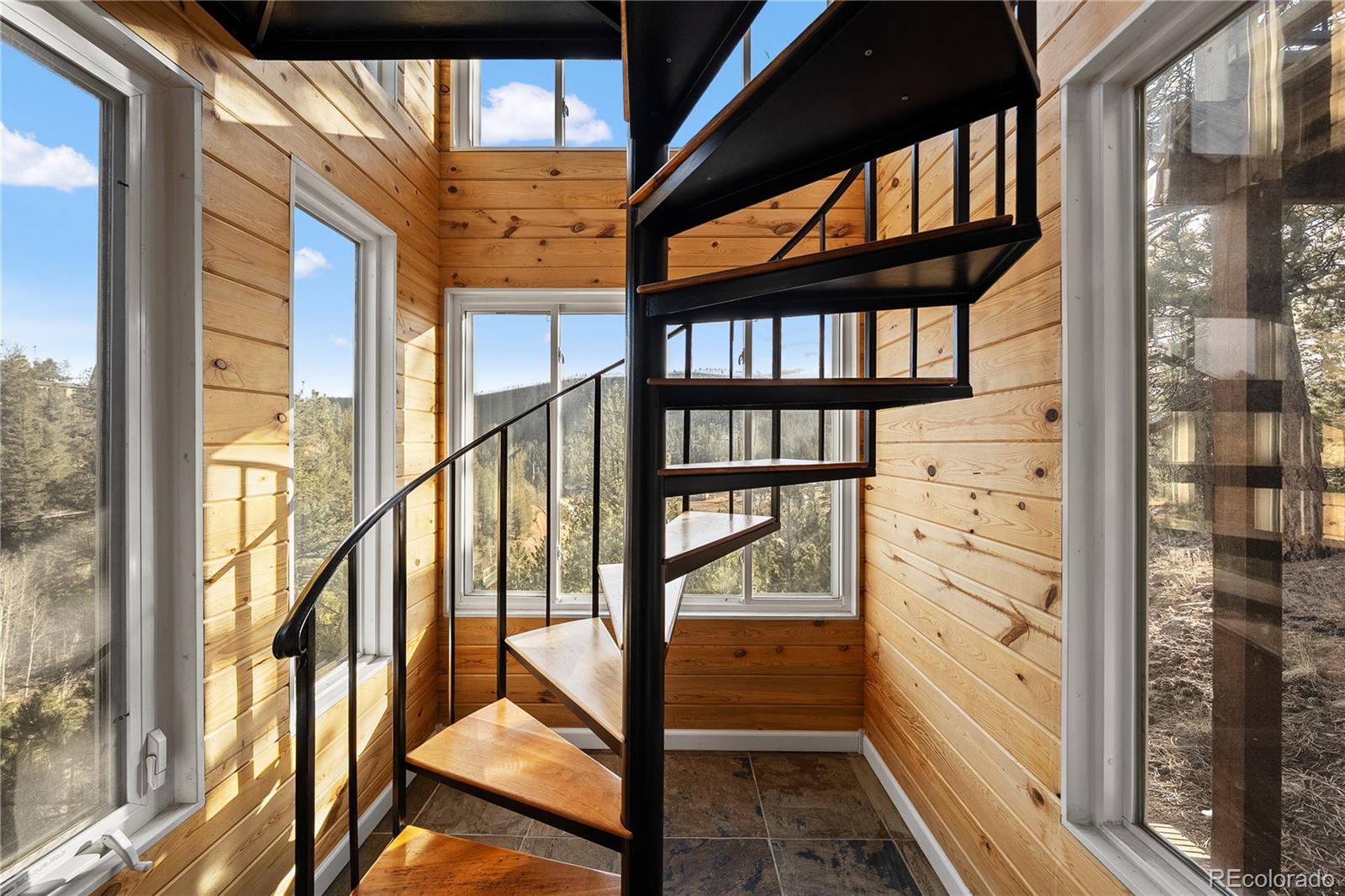 106 Elk Drive Bailey, CO 80421 - Photo 26 of 50