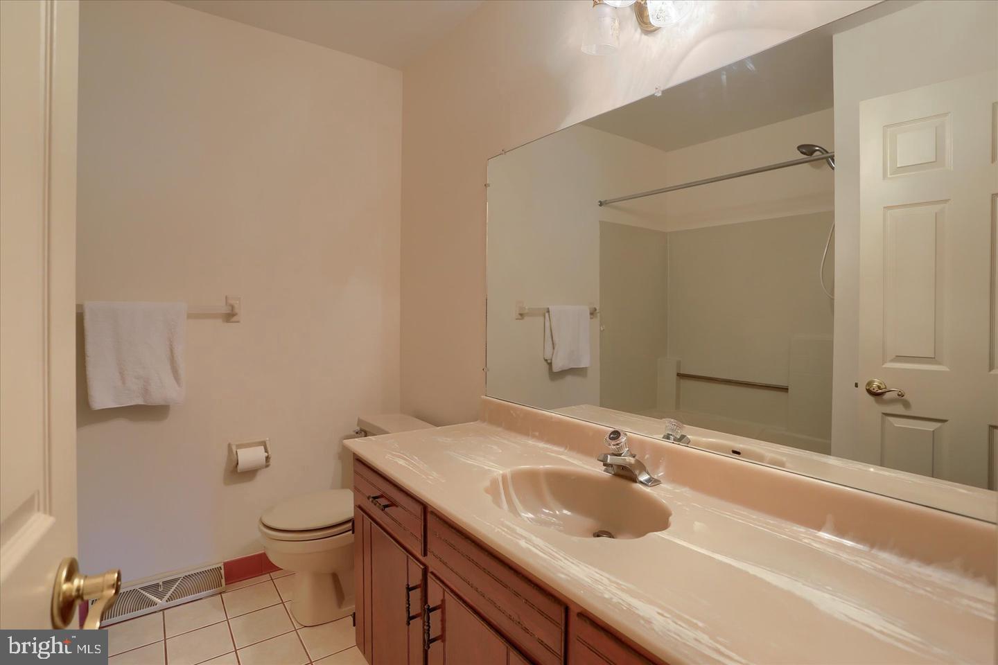 1300 Sand Hill Road Hummelstown, PA 17036 - Photo 18 of 24 a bathroom with a sink and a toilet