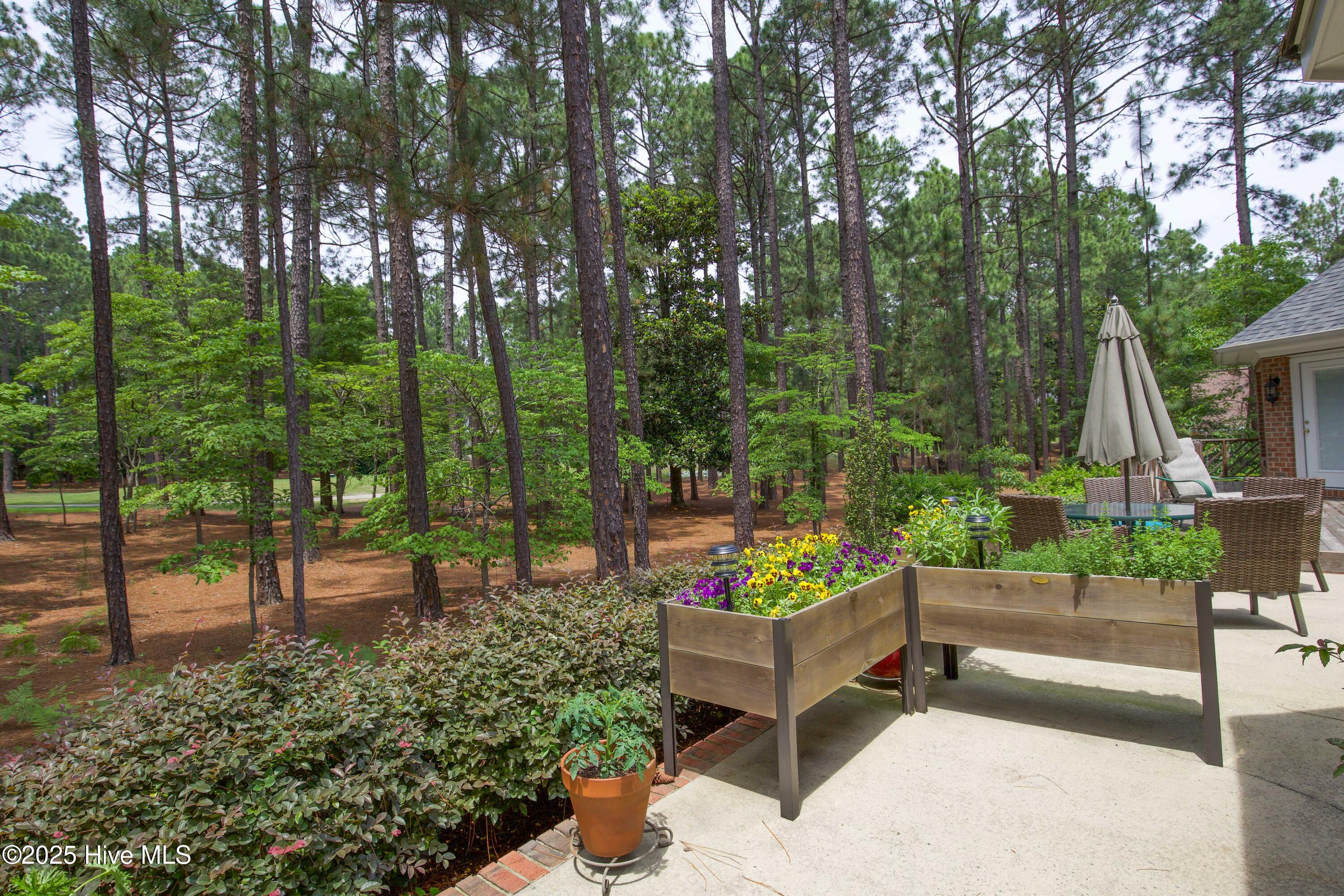 17 Troon Drive Pinehurst, NC 28374 - Photo 78 of 105 Patio Area