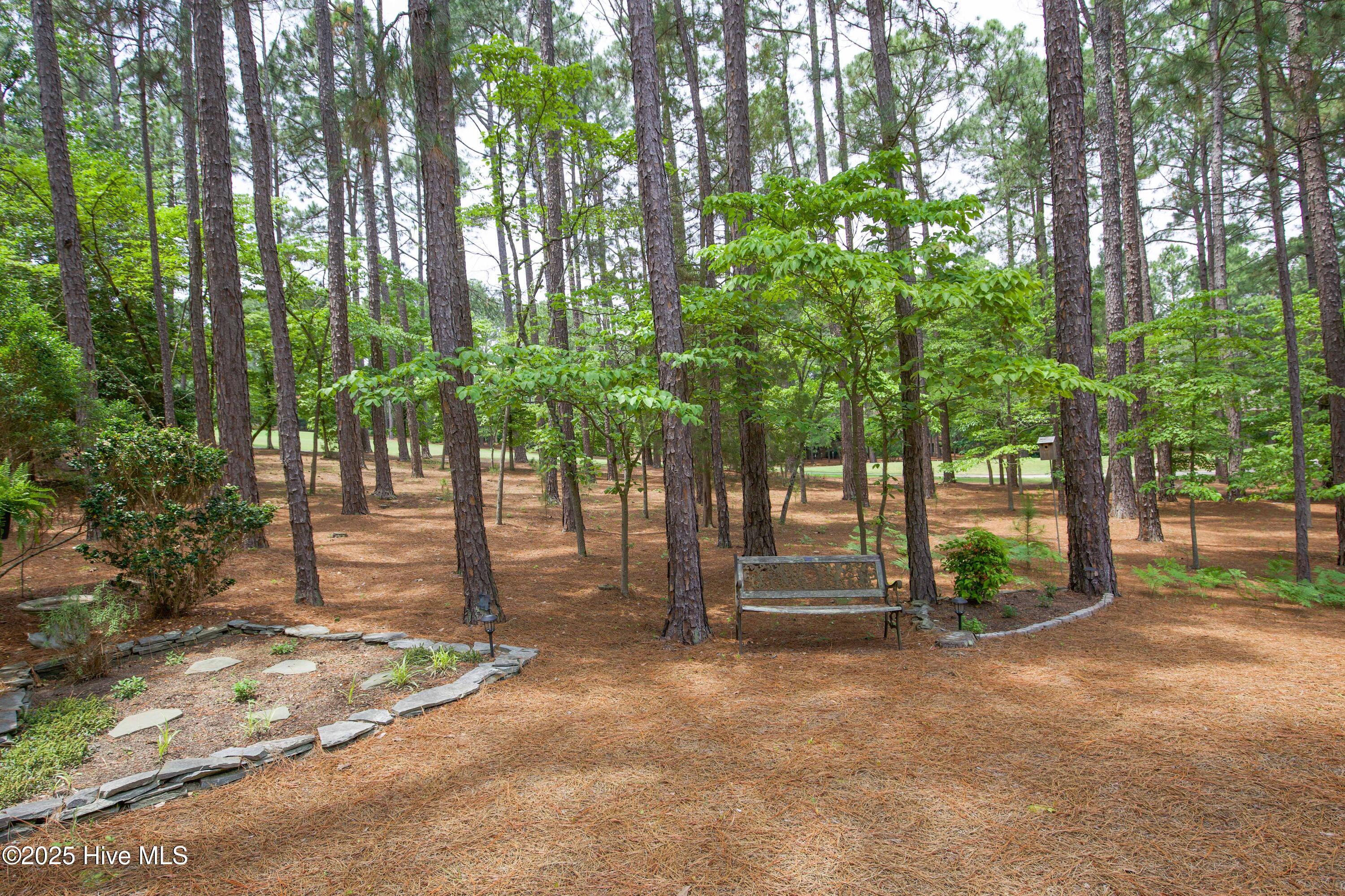 17 Troon Drive Pinehurst, NC 28374 - Photo 83 of 105 Back yard