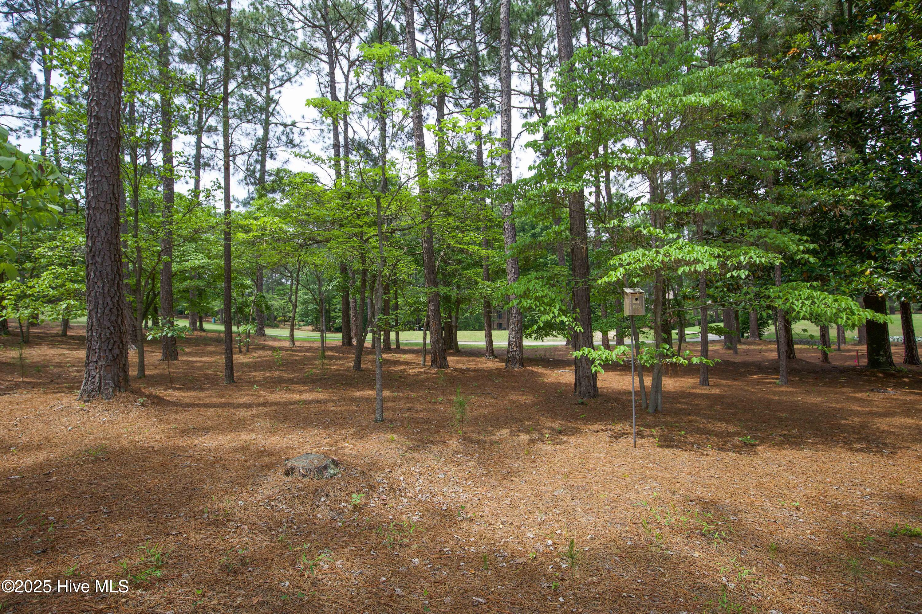 17 Troon Drive Pinehurst, NC 28374 - Photo 86 of 105 View of Golf Course
