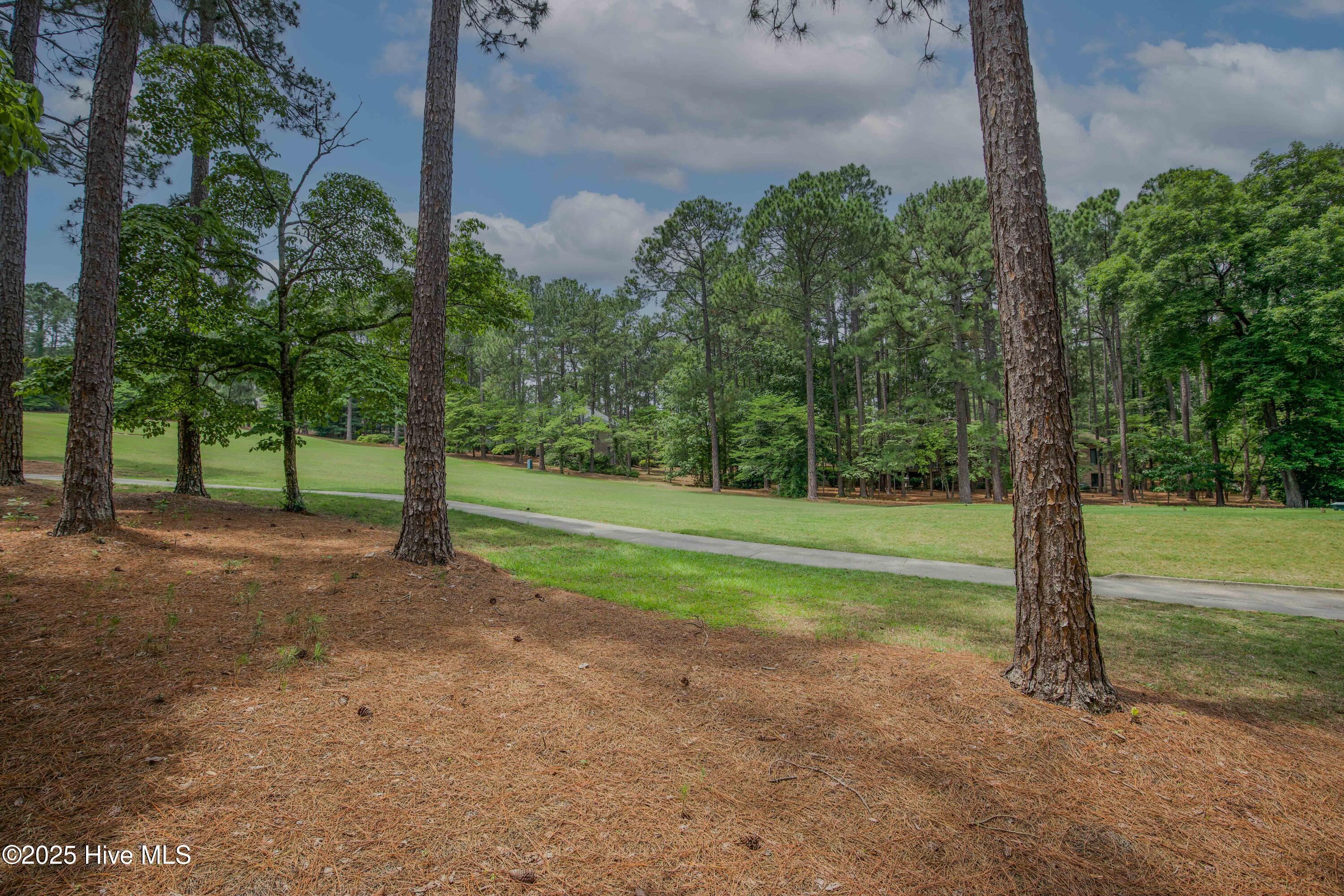 17 Troon Drive Pinehurst, NC 28374 - Photo 87 of 105 12th tee of the Magnolia Course