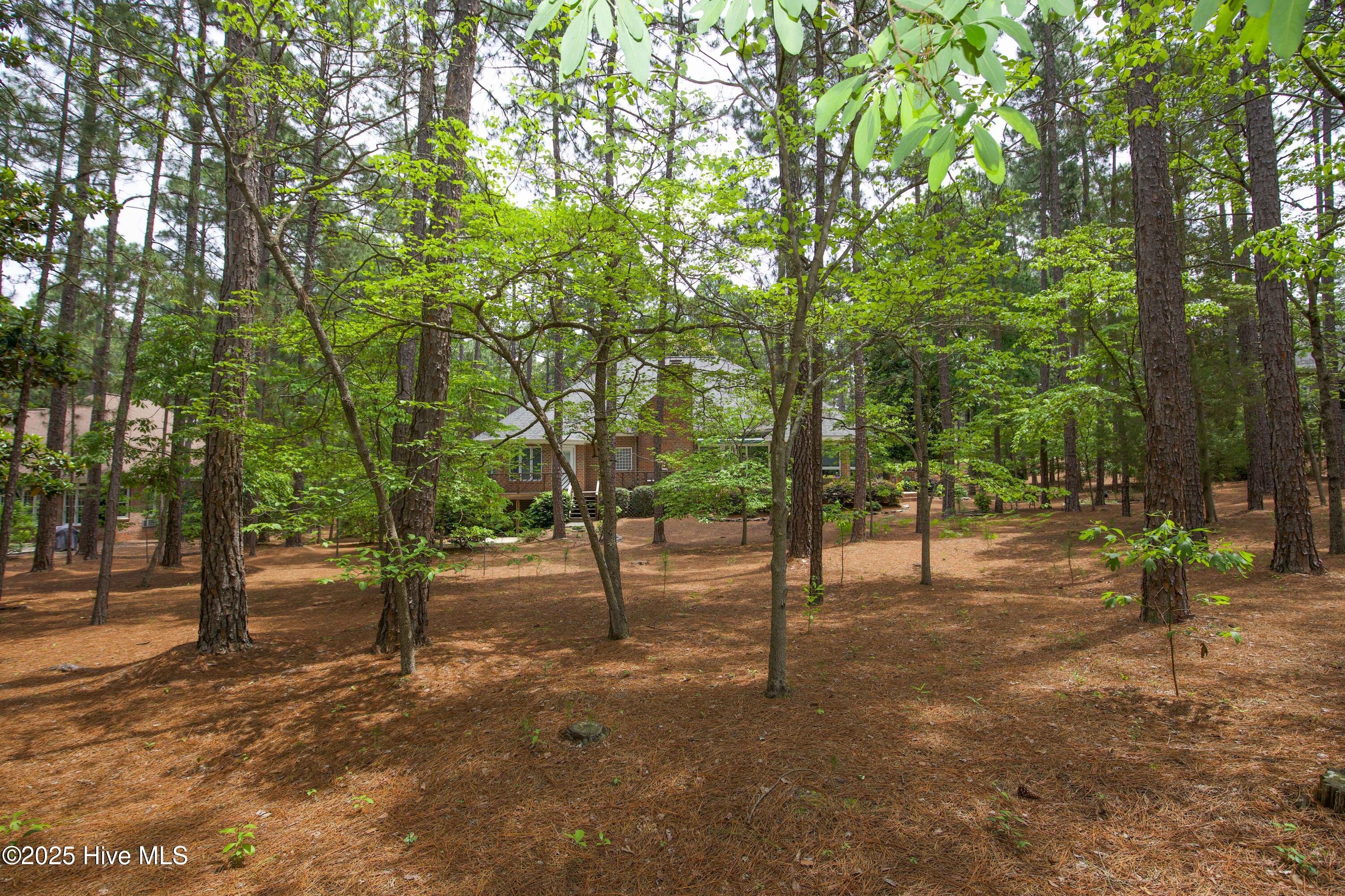 17 Troon Drive Pinehurst, NC 28374 - Photo 92 of 105 Back yard